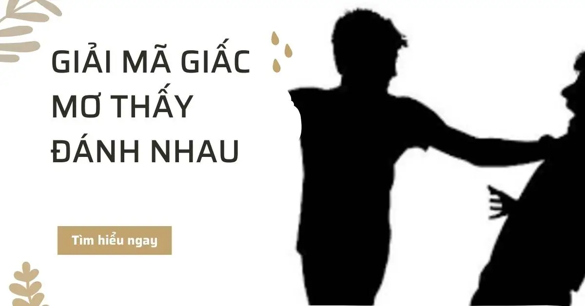 Ý Nghĩa Của Giấc Mơ Đánh Nhau