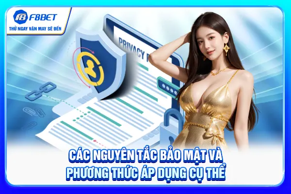 Các nguyên tắc bảo mật và phương thức áp dụng cụ thể